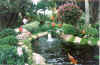 Koi_Pond_2.jpg (49132 bytes)
